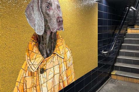 incidente salute mentale Dipartimento nyc subway mosaics Per dare il ...