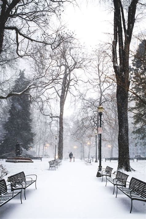 Snow day Portland , Oregon | Places, Snow, Oregon