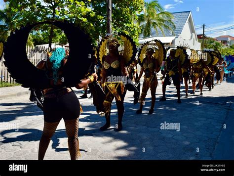 Belizeans wearing shiny, black and yellow, winged costumes in the San ...