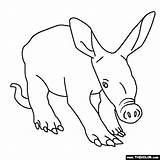 Baby Aardvark Coloring Page sketch template