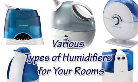 What Are The Various Different Types Of Humidifiers?