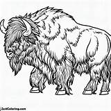 Long Beared Bison Coloring Page  For Kids – Smart Creative sketch template