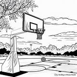 Basketball Hoop Coloring Pages  Free & Printable sketch template