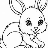 Cute Baby Bunnies Coloring Pages sketch template