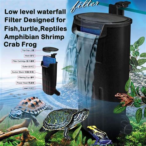 The 9 Best Turtle Low Water Filter - Home Appliances