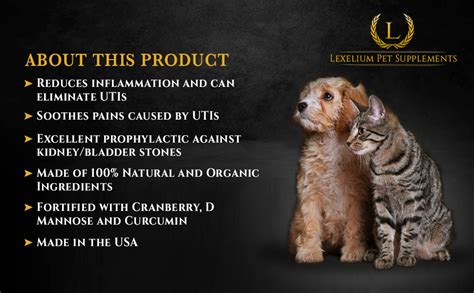 Amazon.com : Organic Urinary Tract Infection UTI Support for Dogs and Cats - Fortified with ...