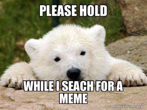 Please hold While I seach for a meme - Popular Opinion Bear | Make a Meme