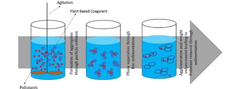 Illustrative representation of the coagulation process | Download Scientific Diagram