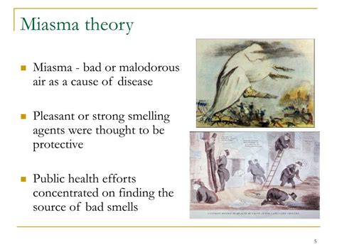 PPT - The Epidemiology of Bacterial Infections PowerPoint Presentation ...