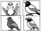 10 Pages Of Diverse Birds Coloring Pack · Creative Fabrica sketch template