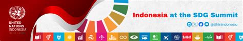 Indonesia at the SDG Summit 2023 - Article Series | United Nations in ...