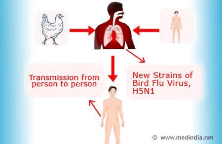 HEALTH SITE: Bird Flu-Symptoms-Transmission-Incubation Period-Treatment ...