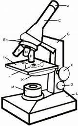 Microscope Coloring sketch template