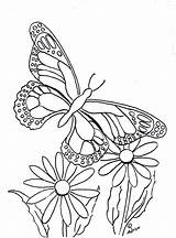 Coloring Pages For Kids By Mr Adron Butterfly Page To Print  sketch template