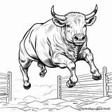 Bucking Bull Coloring Pages  Free & Printable sketch template