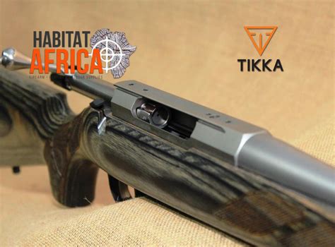 Tikka T3 Laminated Stainless Hunter 243 Winchester - Habitat Africa