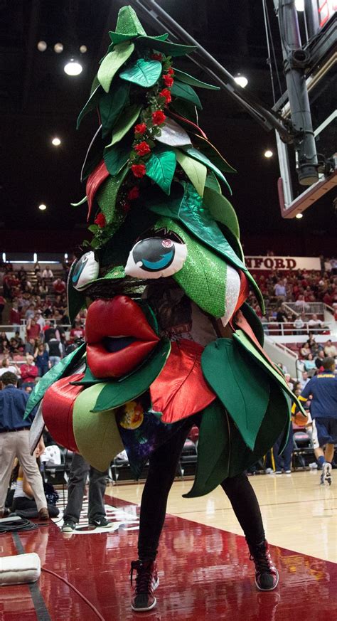 The origins of Stanford’s "Tree" mascot | The Daily Californian | Stanford tree, Stanford, Mascot