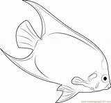 Cute Angel Fish Coloring Pages sketch template