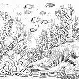 Underwater Habitat Museprintables Colouring Animals Malvorlagen  sketch template