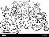 Potato bug book Black And White Stock Photos & Images  Alamy sketch template