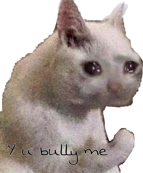 Crying Cat Meme Png - PNG Image Collection