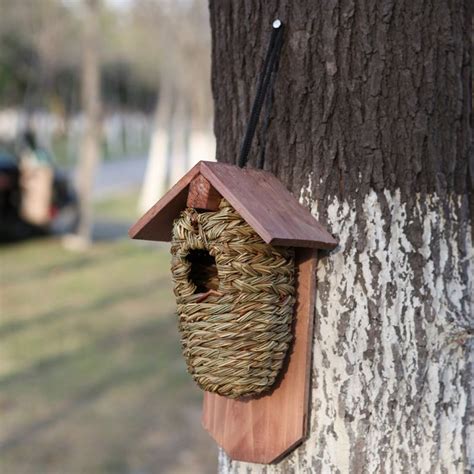 Hummingbird Nest Box