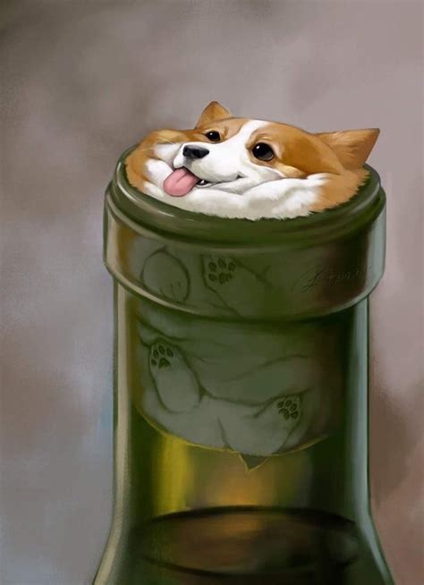 What a beautiful Corki : r/corgi