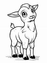 Premium Vector  Clean And Simple coloring Page boer goat For Kids sketch template