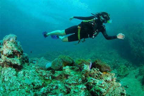 Scuba Diving In Koh Kood 2024 | The Complete Guide