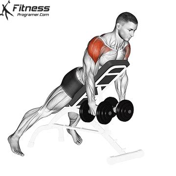 How To Do Dumbbell Reverse Fly - Benefits, Muscles Worked