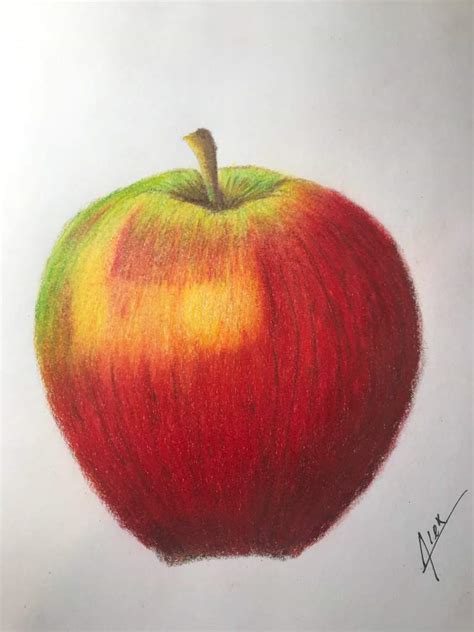 Apple Color Pencil Drawing