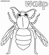 19  wasp coloring Page SeainSerenna sketch template