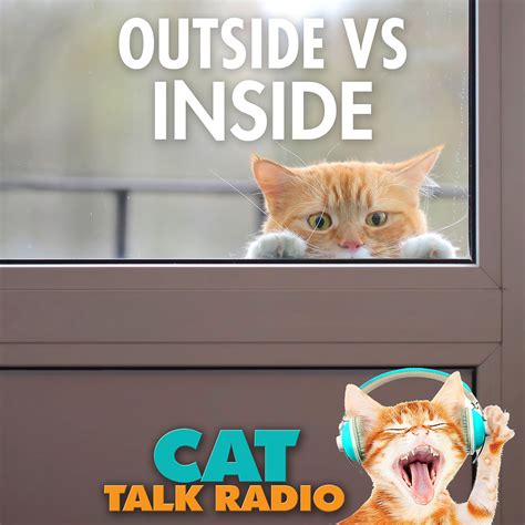 Cats: Outside vs Inside