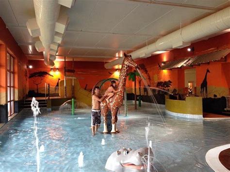 Chessington Safari Hotel Pool: Pictures & Reviews - Tripadvisor