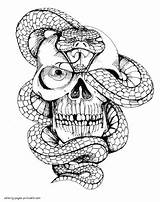 Awesome Skull Coloring Pages For Adults sketch template