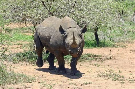 Experience It: Matobo National Park: Matopos Hills & Wooded Valleys ...