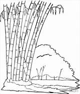 Bamboo Coloring Pages  ColoringBay sketch template