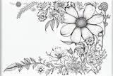 Free Flower Line Drawing Coloring Page sketch template