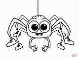 Coloring Page Of A Spider  Home sketch template