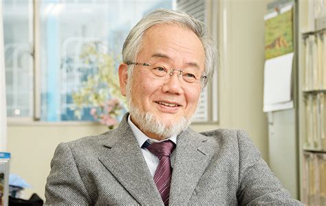 Yoshinori Ohsumi wins Nobel prize in medicine for work on autophagy