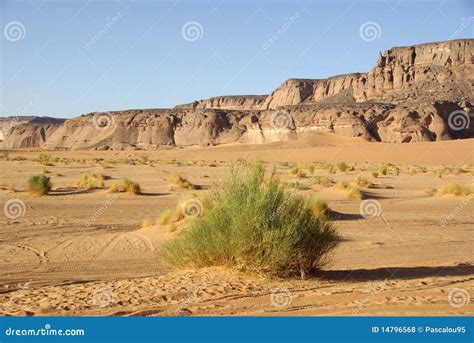 Desert in Libya stock photo. Image of landscape, desert - 14796568