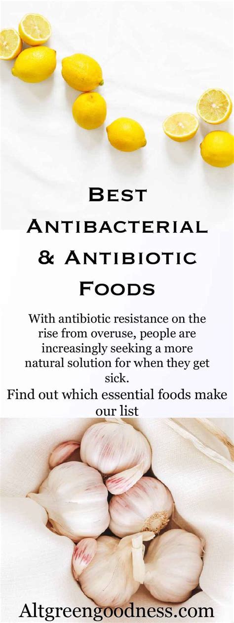 Top 6 Antibacterial / Antibiotic Foods | Food, Healthy recipes, Natural ...