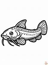 Cute Fish Coloring Pages Printable Free And Easy To Color sketch template