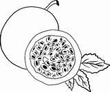 Passion Fruit Coloring Page Pages sketch template