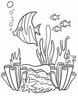 Drawing Underwater Coral Reef Sketch Coloring Page sketch template