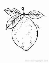 Lemon Coloring Pages  8 Free Printable sketch template