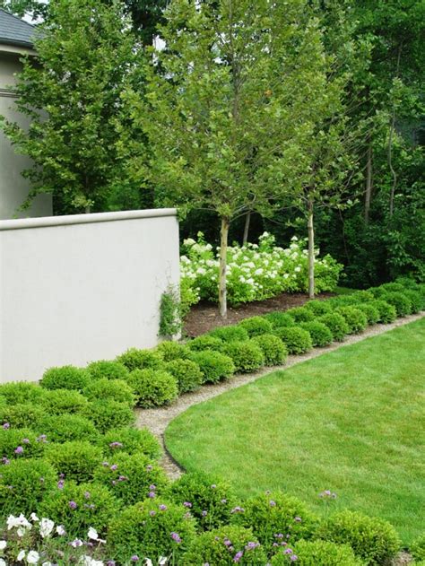 24 Beautiful Boxwood Garden Ideas