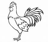 Chicken Chook Coloring Pages sketch template
