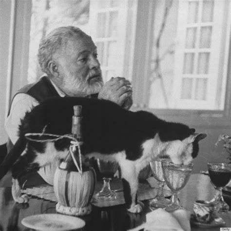 26 Interesting Vintage Photos of Ernest Hemingway With His Beloved Cats ~ vintage everyday