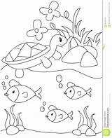 Koi Fish Pond Coloring Page Pages sketch template